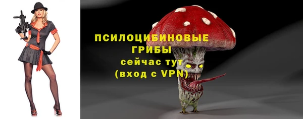 альфа пвп Дмитровск