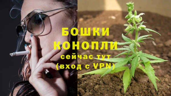 альфа пвп Дмитровск