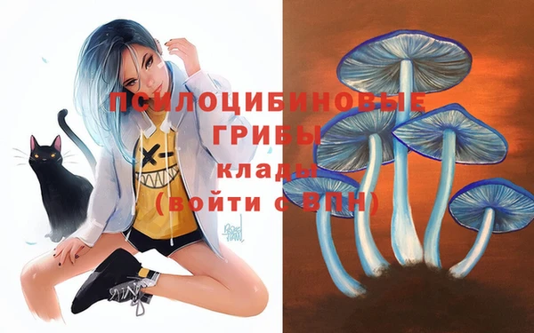 эйфоретик Дмитров