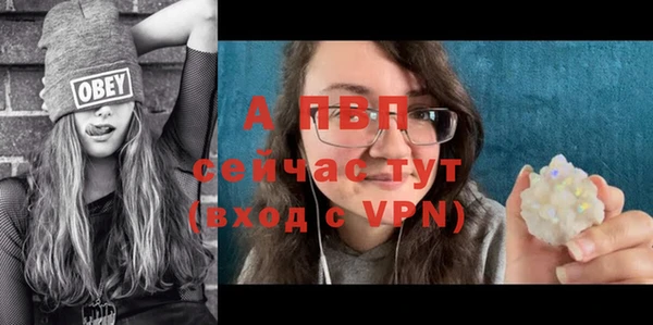 альфа пвп Дмитровск